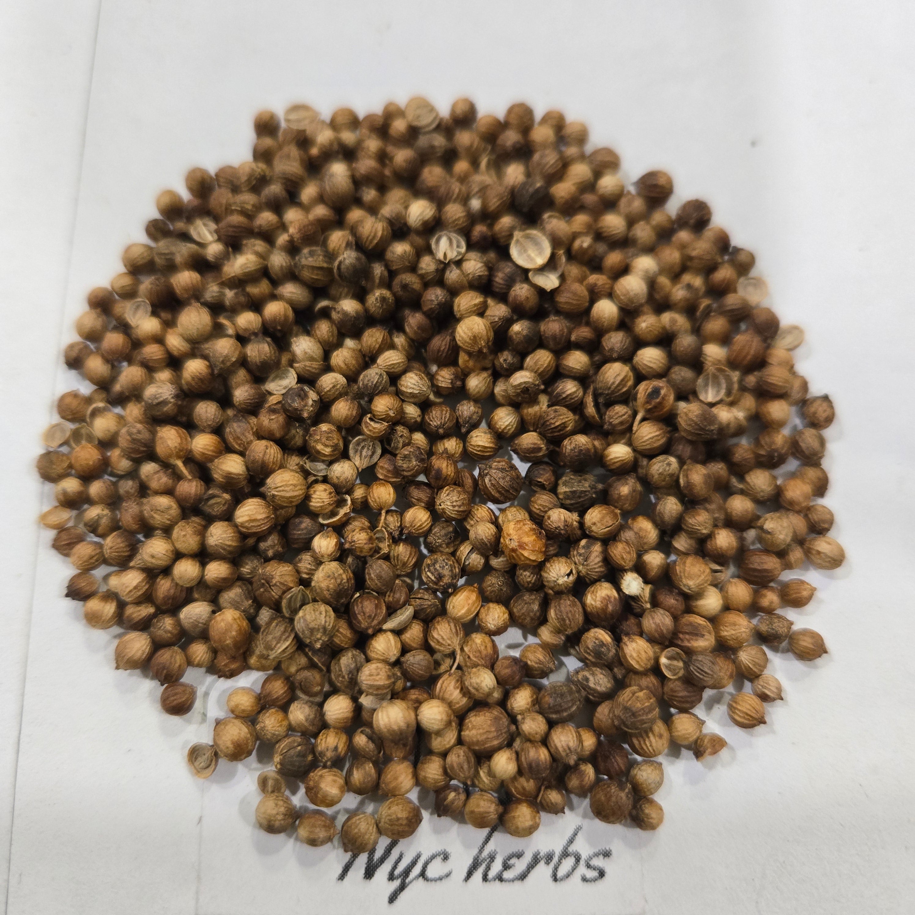 Coriander Seed | Digestive & Anti-Inflammatory Support